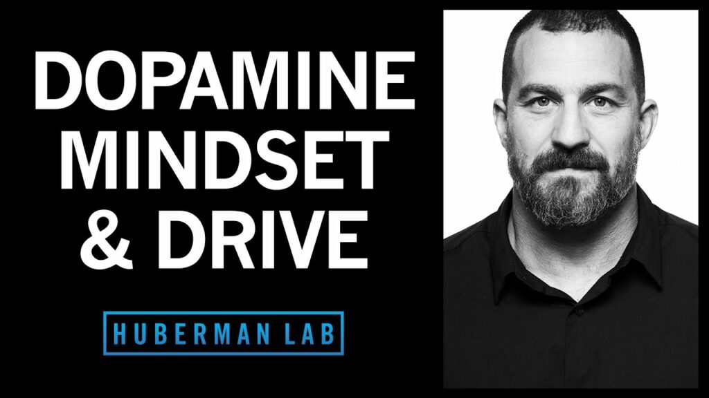 Huberman Lab's Finest Don't Miss These 10 Episodes • Podcast Notes