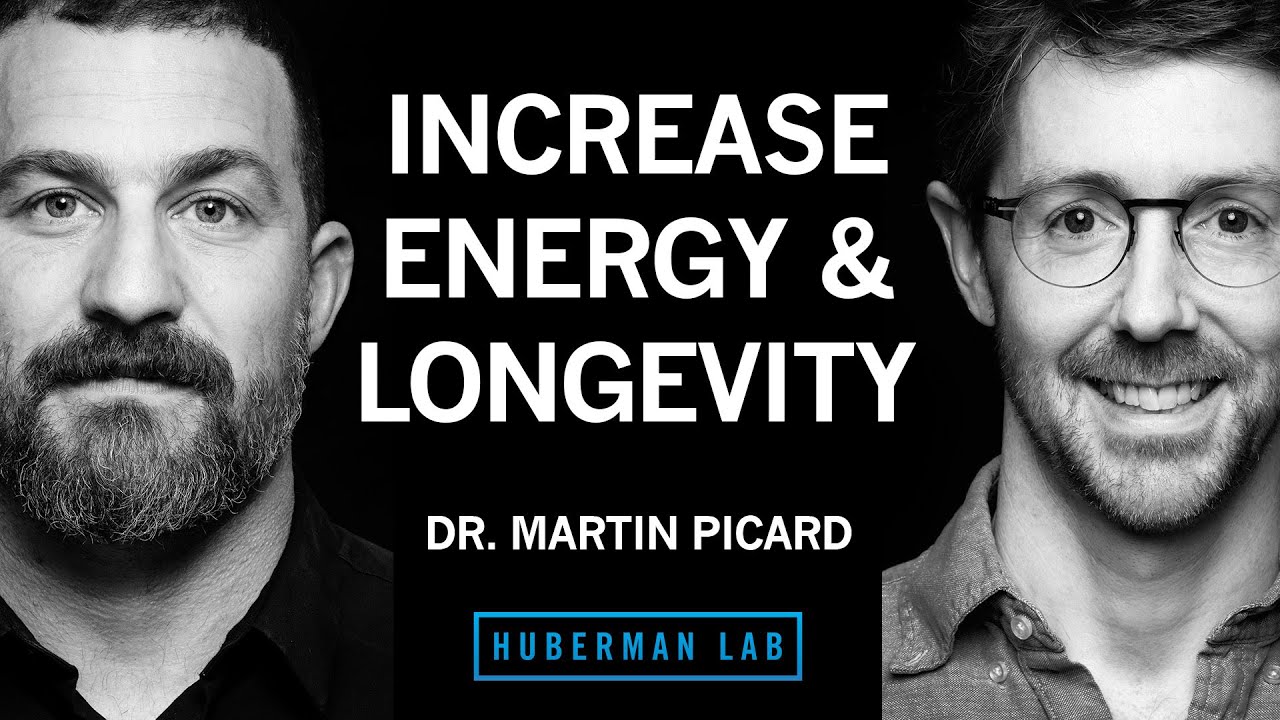 Dr. Martin Picard: Improve Energy & Longevity by Optimizing Mitochondria |  Huberman Lab • Podcast Notes